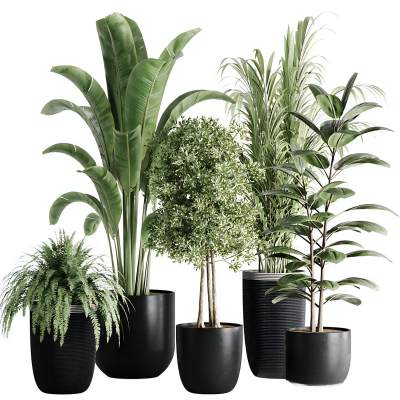 现代绿植盆栽组合-02